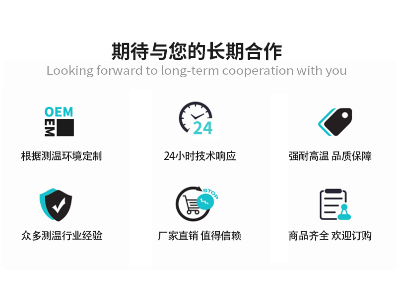 LEIEN雷恩波峰焊回流焊温度记录仪