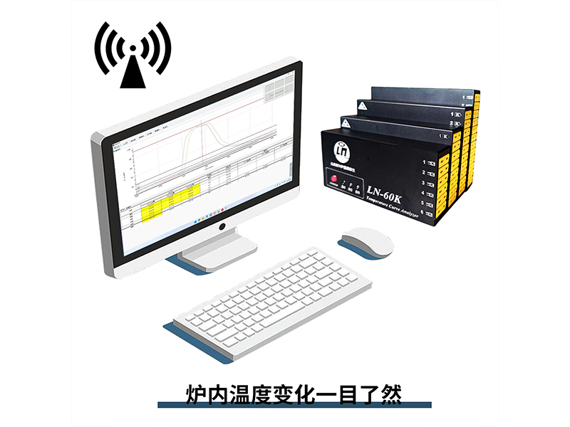 LEIE雷恩玻璃退火温度记录仪